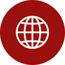 Globe icon